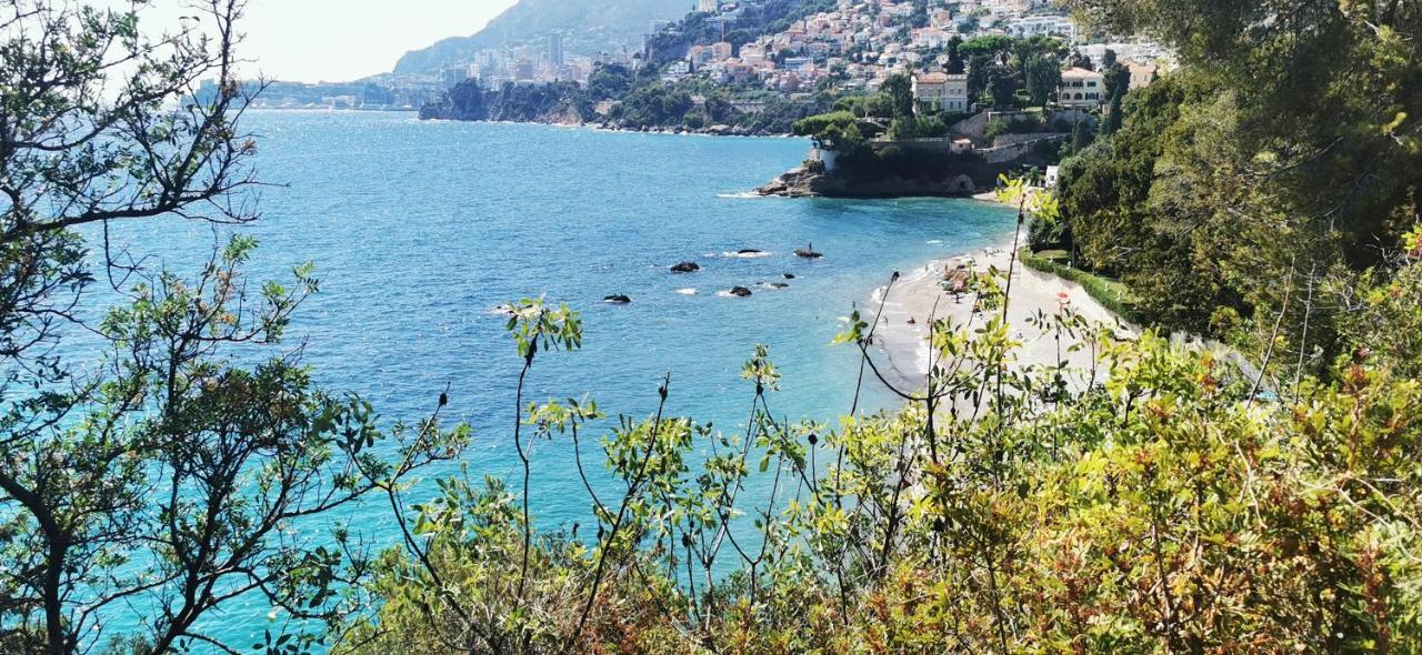 Vue Magnifique, Piscine Privee Chauffee Et Sauna A 10Min De Monaco Roquebrune-Cap-Martin Eksteriør bilde